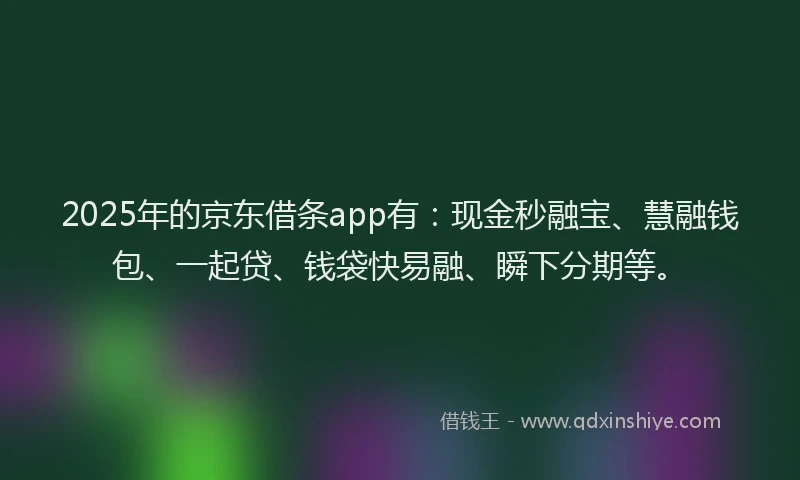 2025年的京东借条app有：现金秒融宝、慧融钱包、一起贷、钱袋快易融、瞬下分期等。