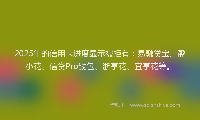2025年的信用卡进度显示被拒有：易融贷宝、盈小花、信贷Pro钱包、浙享花、宜享花等。