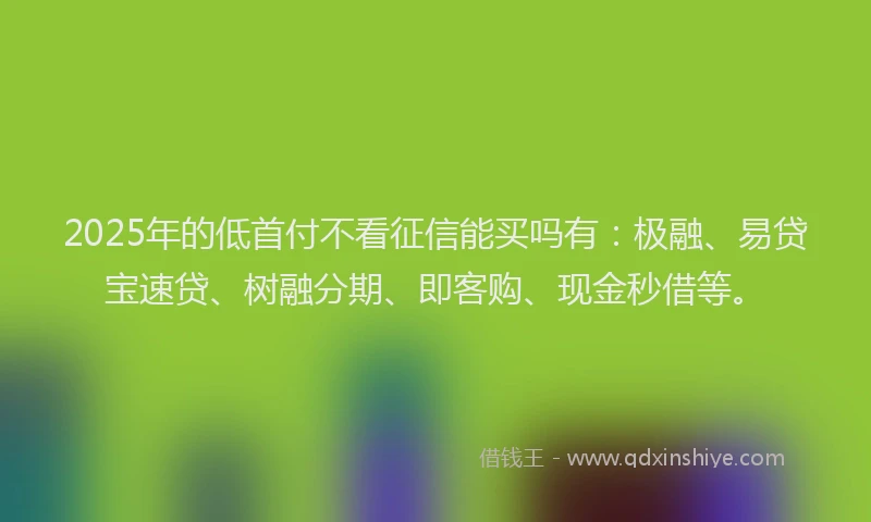 2025年的低首付不看征信能买吗有：极融、易贷宝速贷、树融分期、即客购、现金秒借等。