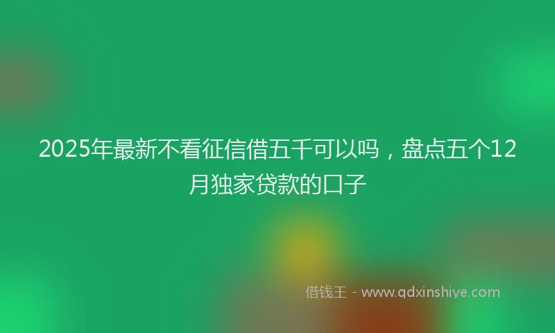2025年最新不看征信借五千可以吗，盘点五个12月独家贷款的口子