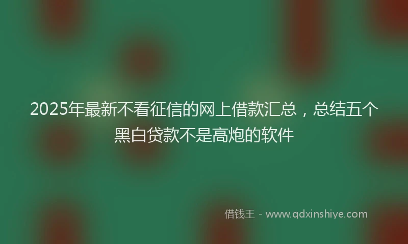 2025年最新不看征信的网上借款汇总，总结五个黑白贷款不是高炮的软件
