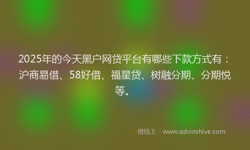 2025年的今天黑户网贷平台有哪些下款方式有：沪商易借、58好借、福星贷、树融分期、分期悦等。