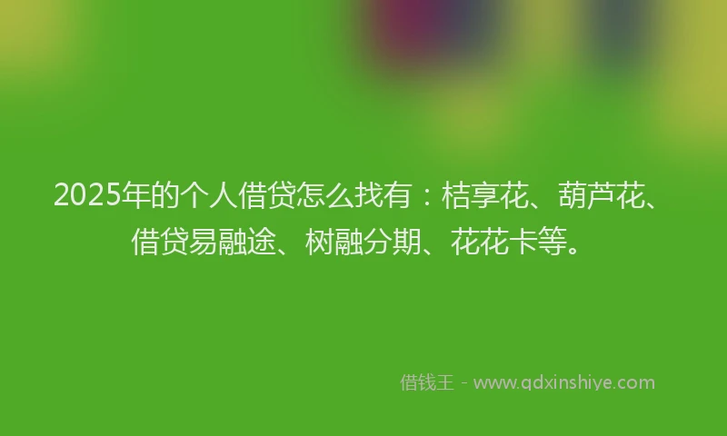 2025年的个人借贷怎么找有：桔享花、葫芦花、借贷易融途、树融分期、花花卡等。