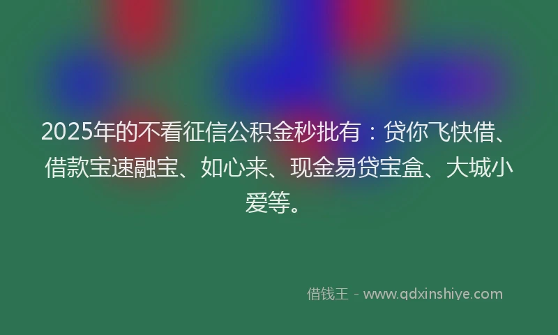 2025年的不看征信公积金秒批有：贷你飞快借、借款宝速融宝、如心来、现金易贷宝盒、大城小爱等。