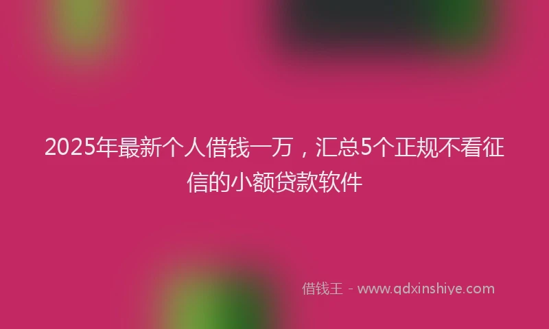 2025年最新个人借钱一万，汇总5个正规不看征信的小额贷款软件