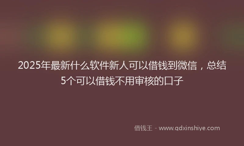 2025年最新什么软件新人可以借钱到微信，总结5个可以借钱不用审核的口子