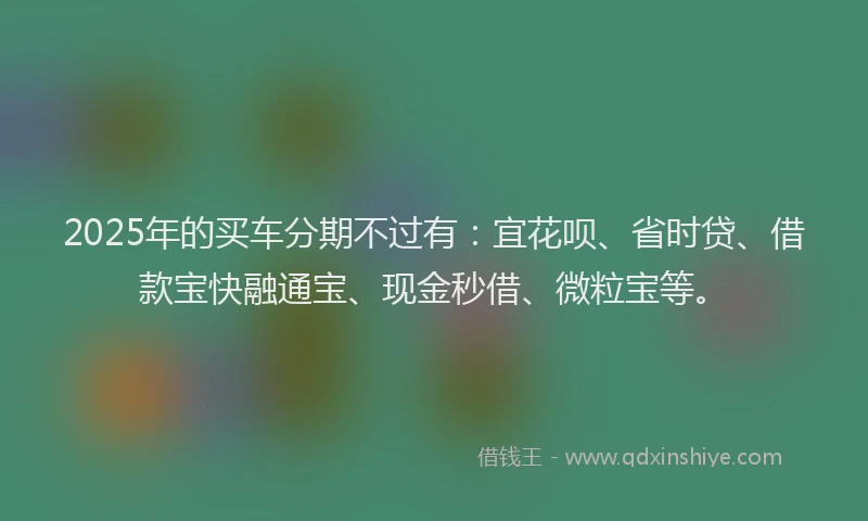 2025年的买车分期不过有：宜花呗、省时贷、借款宝快融通宝、现金秒借、微粒宝等。