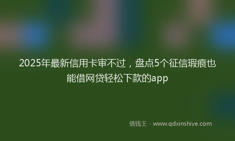 2025年最新信用卡审不过，盘点5个征信瑕疵也能借网贷轻松下款的app
