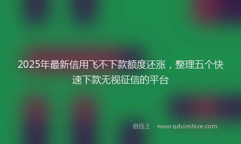 2025年最新信用飞不下款额度还涨，整理五个快速下款无视征信的平台