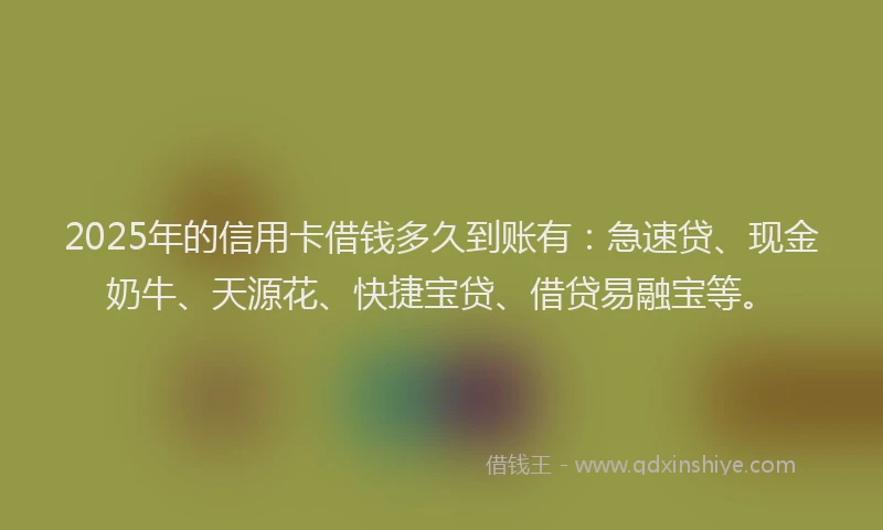 2025年的信用卡借钱多久到账有：急速贷、现金奶牛、天源花、快捷宝贷、借贷易融宝等。