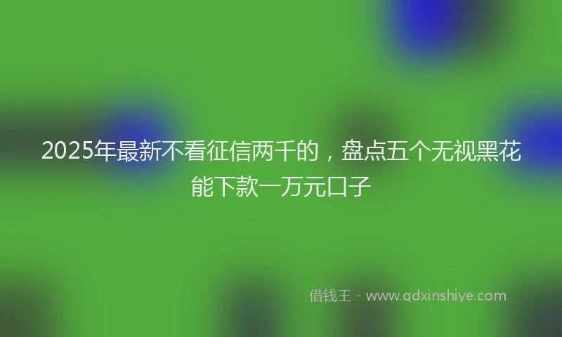 2025年最新不看征信两千的，盘点五个无视黑花能下款一万元口子
