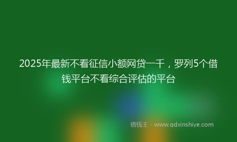 2025年最新不看征信小额网贷一千，罗列5个借钱平台不看综合评估的平台