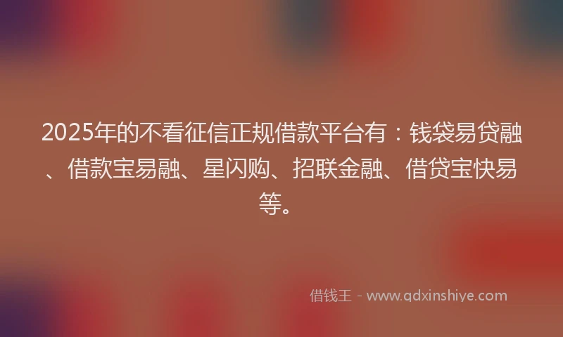 2025年的不看征信正规借款平台有：钱袋易贷融、借款宝易融、星闪购、招联金融、借贷宝快易等。