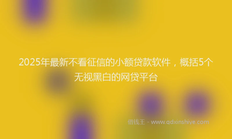 2025年最新不看征信的小额贷款软件，概括5个无视黑白的网贷平台