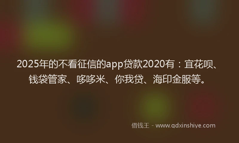 2025年的不看征信的app贷款2020有：宜花呗、钱袋管家、哆哆米、你我贷、海印金服等。