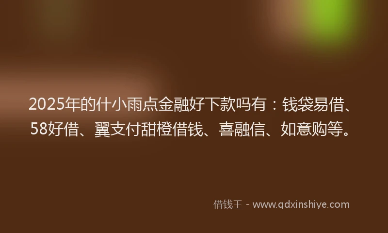 2025年的什小雨点金融好下款吗有：钱袋易借、58好借、翼支付甜橙借钱、喜融信、如意购等。