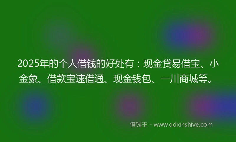 2025年的个人借钱的好处有：现金贷易借宝、小金象、借款宝速借通、现金钱包、一川商城等。