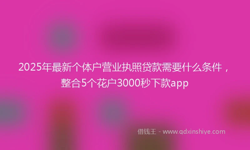 2025年最新个体户营业执照贷款需要什么条件，整合5个花户3000秒下款app