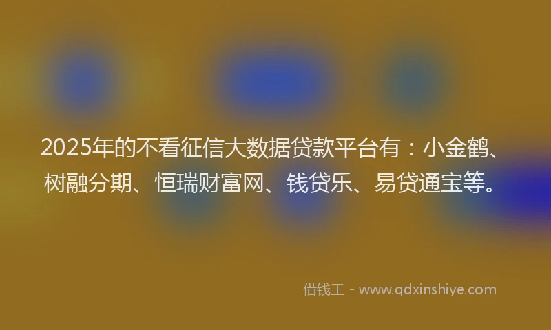 2025年的不看征信大数据贷款平台有：小金鹤、树融分期、恒瑞财富网、钱贷乐、易贷通宝等。