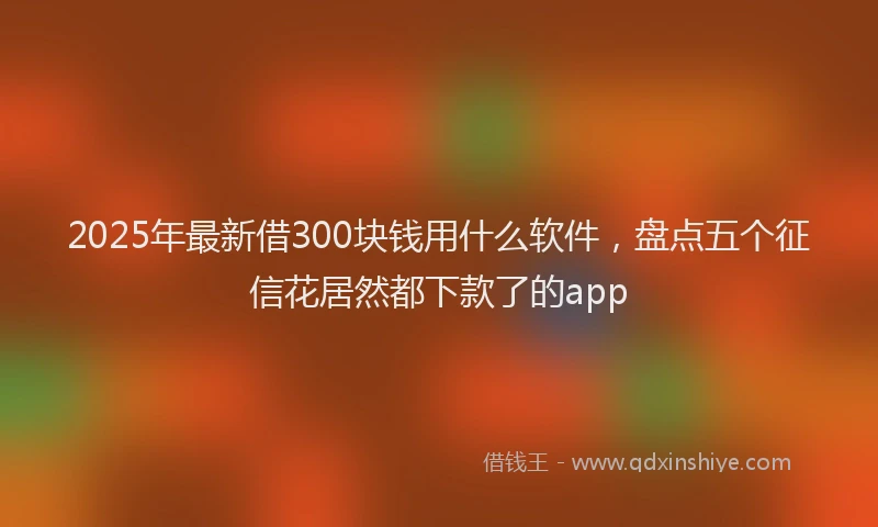 2025年最新借300块钱用什么软件，盘点五个征信花居然都下款了的app