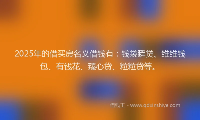 2025年的借买房名义借钱有：钱袋瞬贷、维维钱包、有钱花、臻心贷、粒粒贷等。