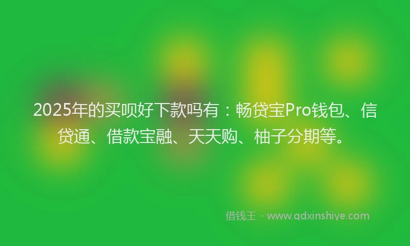 2025年的买呗好下款吗有：畅贷宝Pro钱包、信贷通、借款宝融、天天购、柚子分期等。