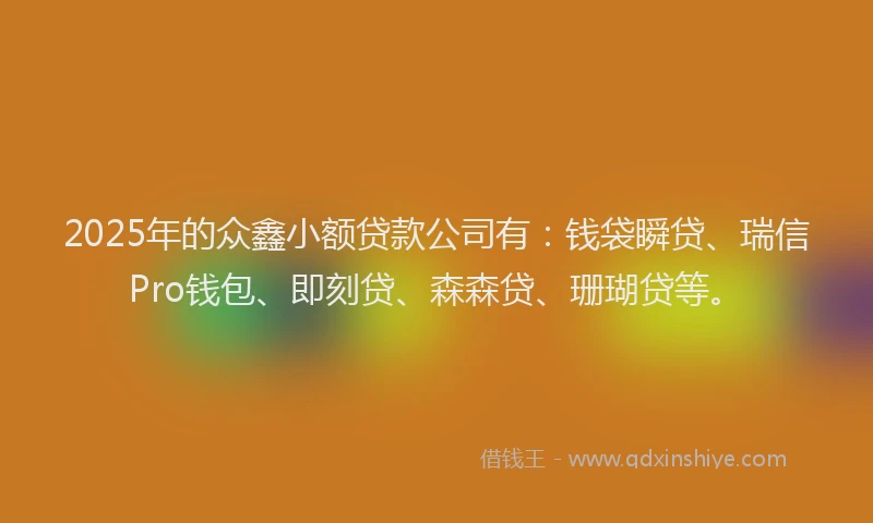 2025年的众鑫小额贷款公司有：钱袋瞬贷、瑞信Pro钱包、即刻贷、森森贷、珊瑚贷等。