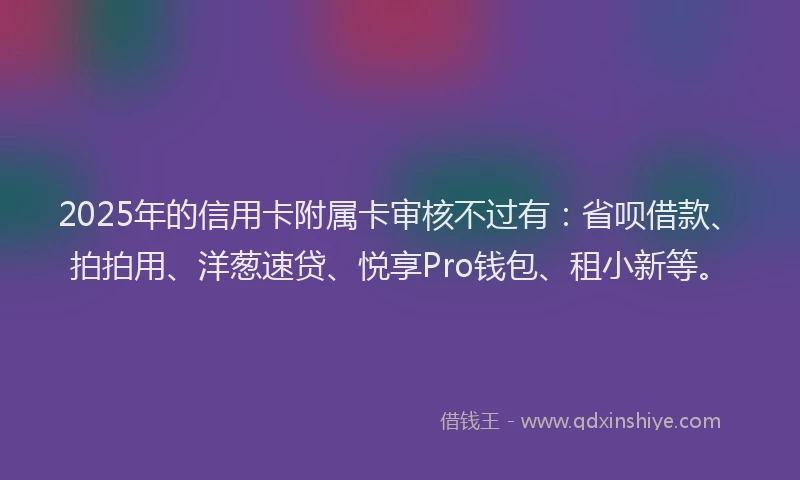 2025年的信用卡附属卡审核不过有：省呗借款、拍拍用、洋葱速贷、悦享Pro钱包、租小新等。