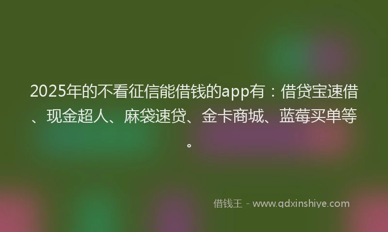 2025年的不看征信能借钱的app有：借贷宝速借、现金超人、麻袋速贷、金卡商城、蓝莓买单等。