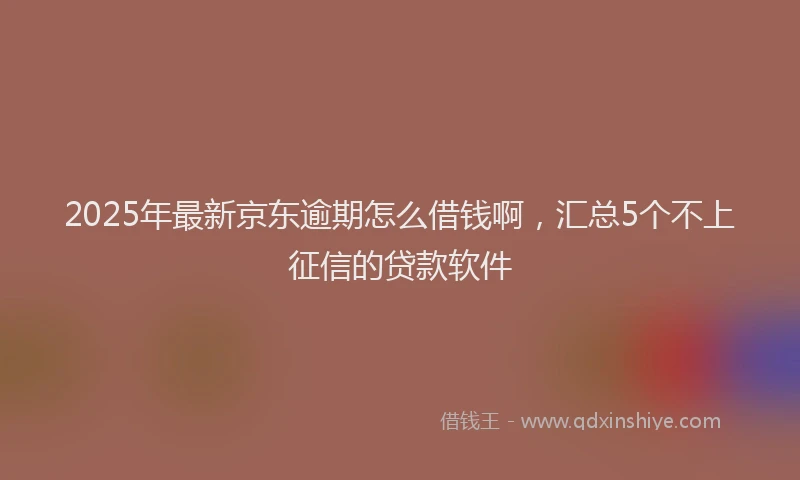 2025年最新京东逾期怎么借钱啊，汇总5个不上征信的贷款软件