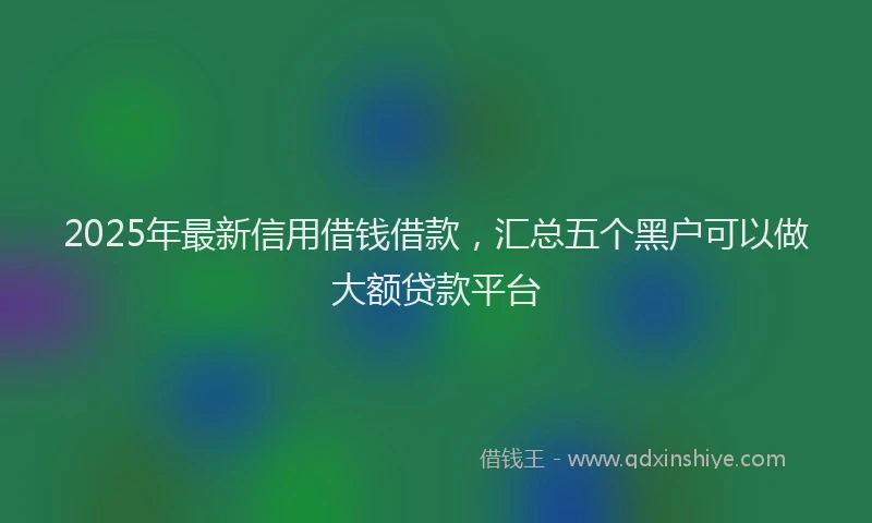 2025年最新信用借钱借款，汇总五个黑户可以做大额贷款平台