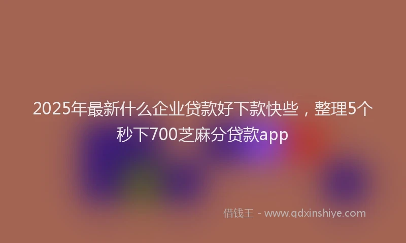 2025年最新什么企业贷款好下款快些，整理5个秒下700芝麻分贷款app