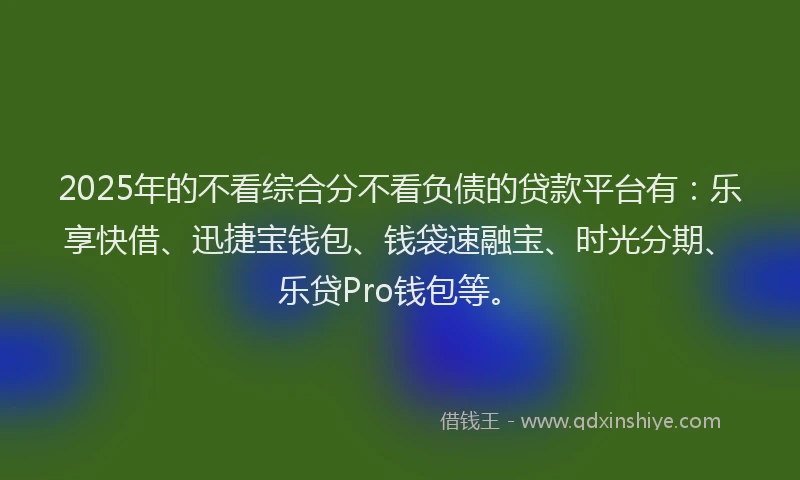 2025年的不看综合分不看负债的贷款平台有：乐享快借、迅捷宝钱包、钱袋速融宝、时光分期、乐贷Pro钱包等。