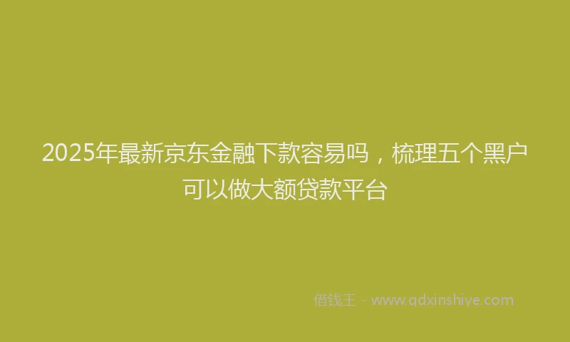 2025年最新京东金融下款容易吗，梳理五个黑户可以做大额贷款平台