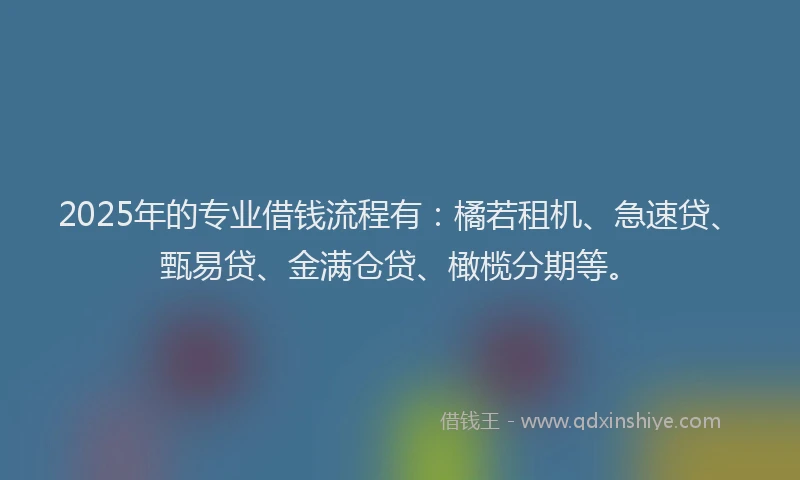 2025年的专业借钱流程有：橘若租机、急速贷、甄易贷、金满仓贷、橄榄分期等。