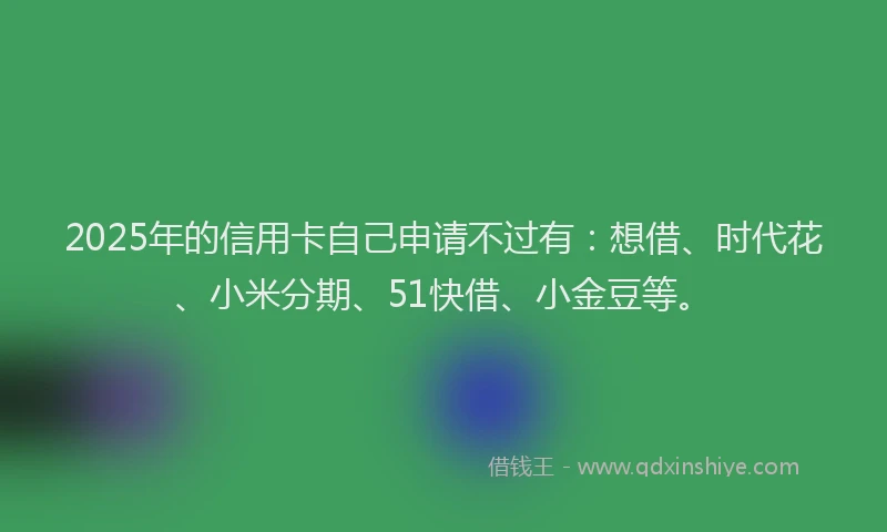 2025年的信用卡自己申请不过有：想借、时代花、小米分期、51快借、小金豆等。