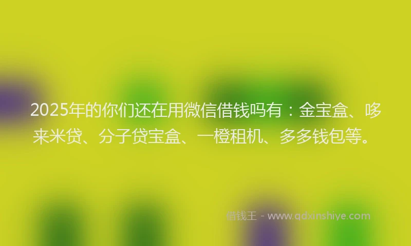 2025年的你们还在用微信借钱吗有：金宝盒、哆来米贷、分子贷宝盒、一橙租机、多多钱包等。