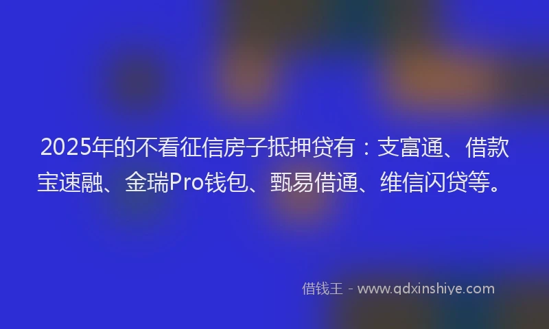 2025年的不看征信房子抵押贷有：支富通、借款宝速融、金瑞Pro钱包、甄易借通、维信闪贷等。