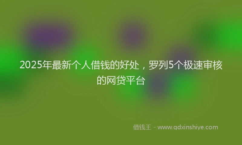 2025年最新个人借钱的好处，罗列5个极速审核的网贷平台