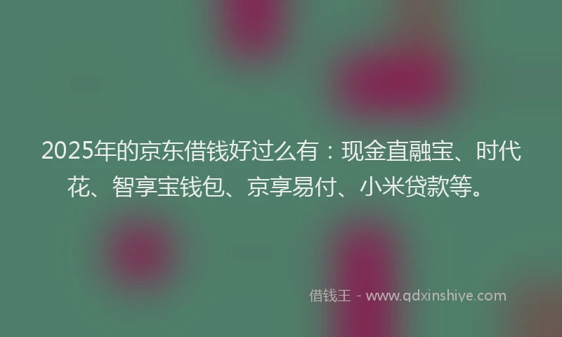 2025年的京东借钱好过么有：现金直融宝、时代花、智享宝钱包、京享易付、小米贷款等。