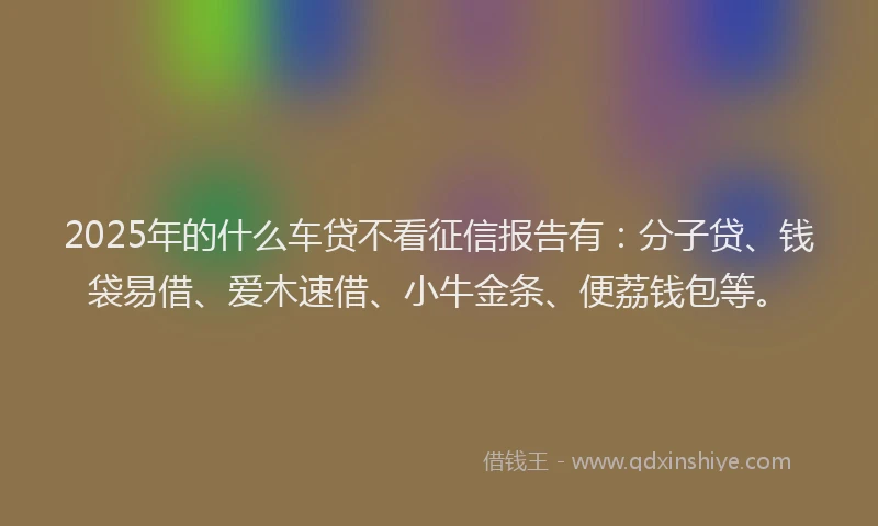 2025年的什么车贷不看征信报告有：分子贷、钱袋易借、爱木速借、小牛金条、便荔钱包等。