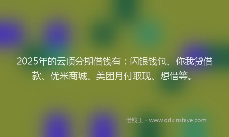 2025年的云顶分期借钱有：闪银钱包、你我贷借款、优米商城、美团月付取现、想借等。