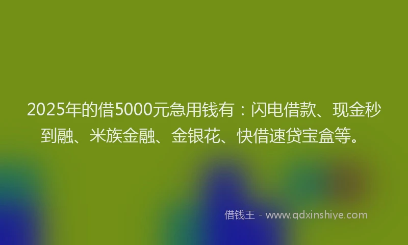 2025年的借5000元急用钱有：闪电借款、现金秒到融、米族金融、金银花、快借速贷宝盒等。