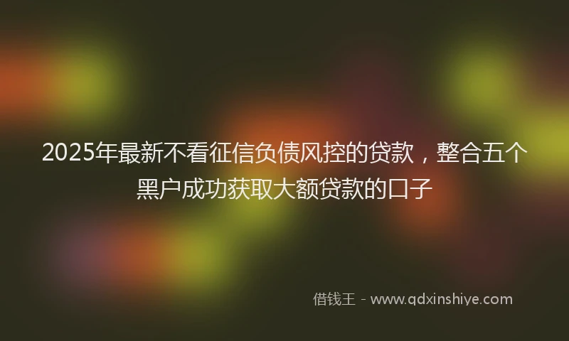 2025年最新不看征信负债风控的贷款，整合五个黑户成功获取大额贷款的口子