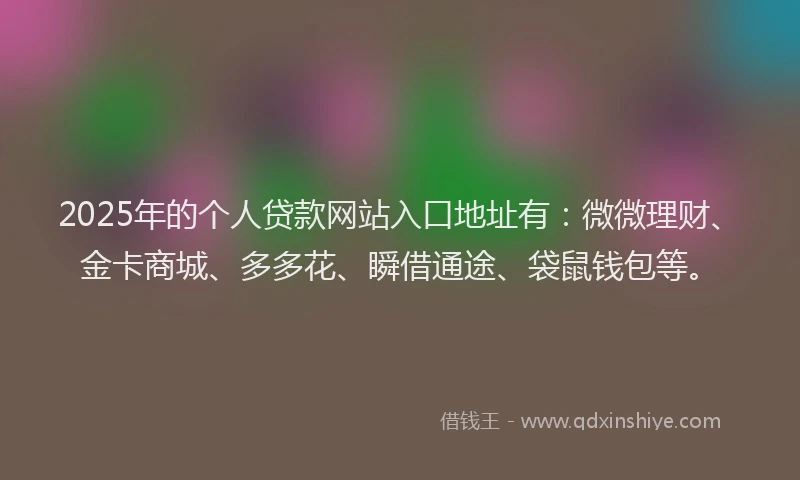 2025年的个人贷款网站入口地址有：微微理财、金卡商城、多多花、瞬借通途、袋鼠钱包等。