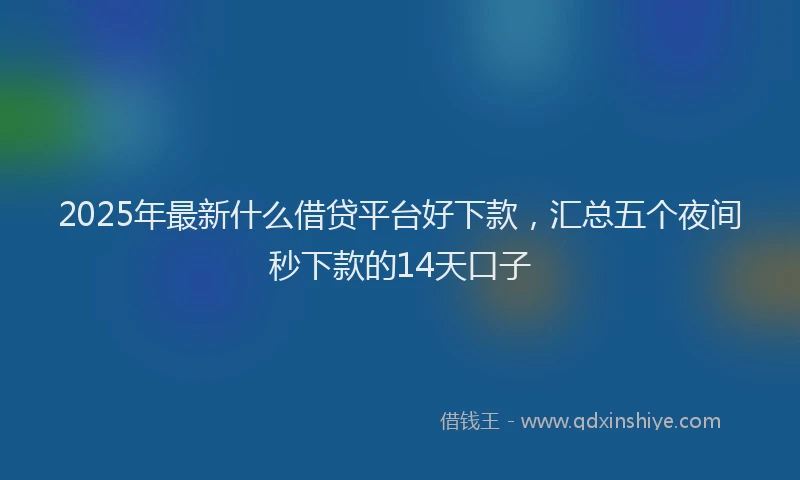 2025年最新什么借贷平台好下款，汇总五个夜间秒下款的14天口子