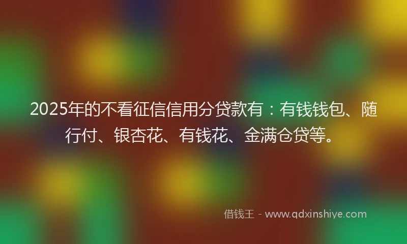 2025年的不看征信信用分贷款有：有钱钱包、随行付、银杏花、有钱花、金满仓贷等。