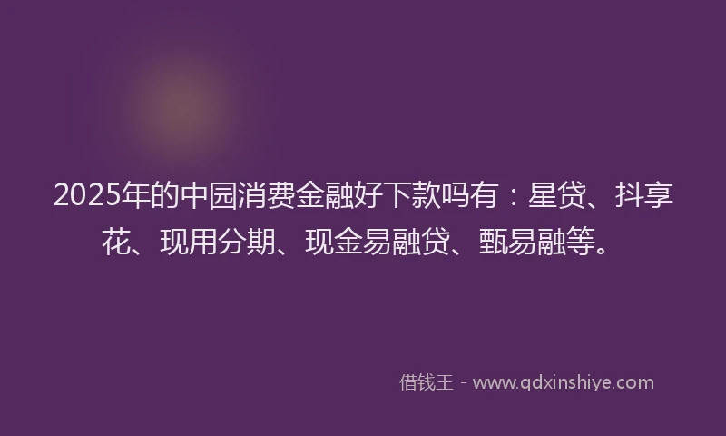 2025年的中园消费金融好下款吗有：星贷、抖享花、现用分期、现金易融贷、甄易融等。