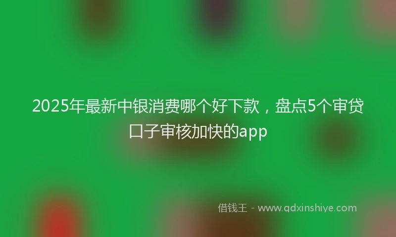 2025年最新中银消费哪个好下款，盘点5个审贷口子审核加快的app
