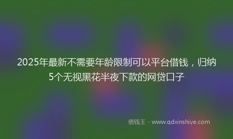 2025年最新不需要年龄限制可以平台借钱，归纳5个无视黑花半夜下款的网贷口子